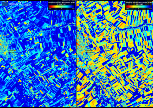 OBSERVER: How the EU Space Programme supports agriculture