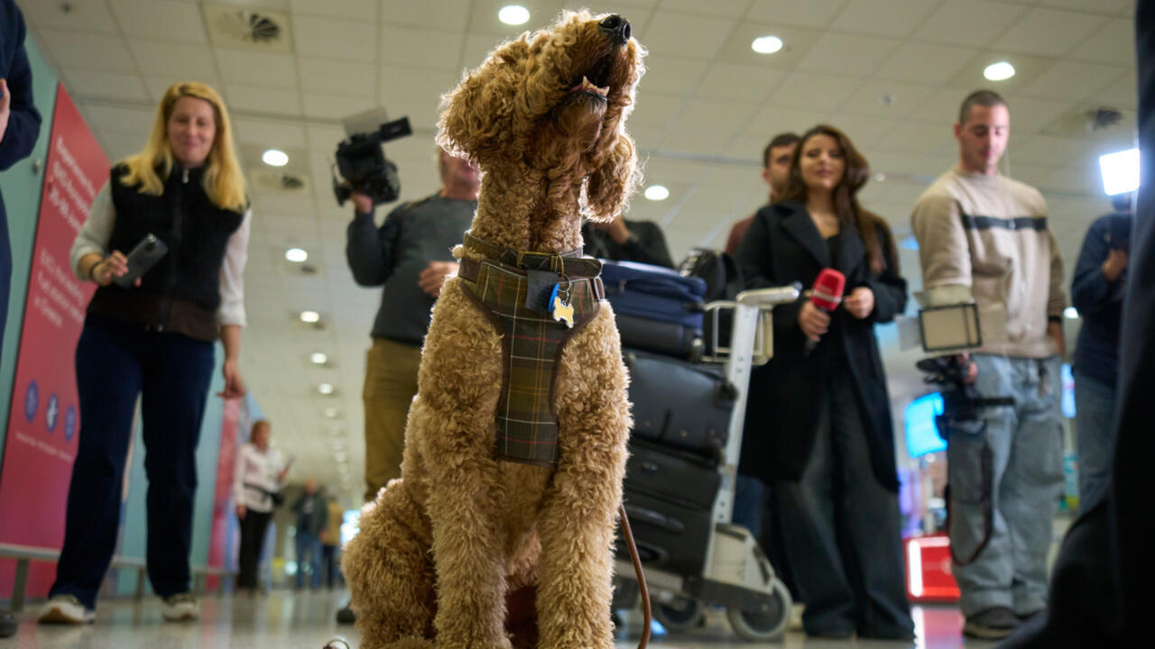 A repatriated Greek woman with her dog hugs relatives during their arrival at Athens International Airport