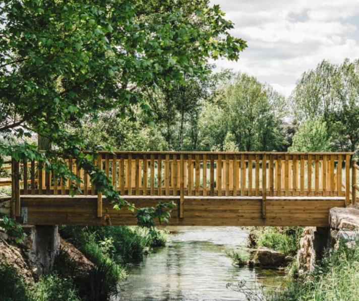 Wooden bridge in a green environment