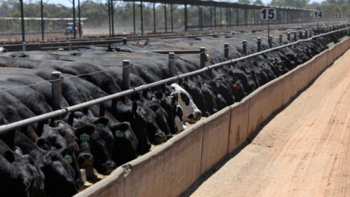 What to know about the long-awaited EU-Australia trade agreement