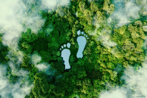 EU has cut its greenhouse gas emissions by 40% since 1990