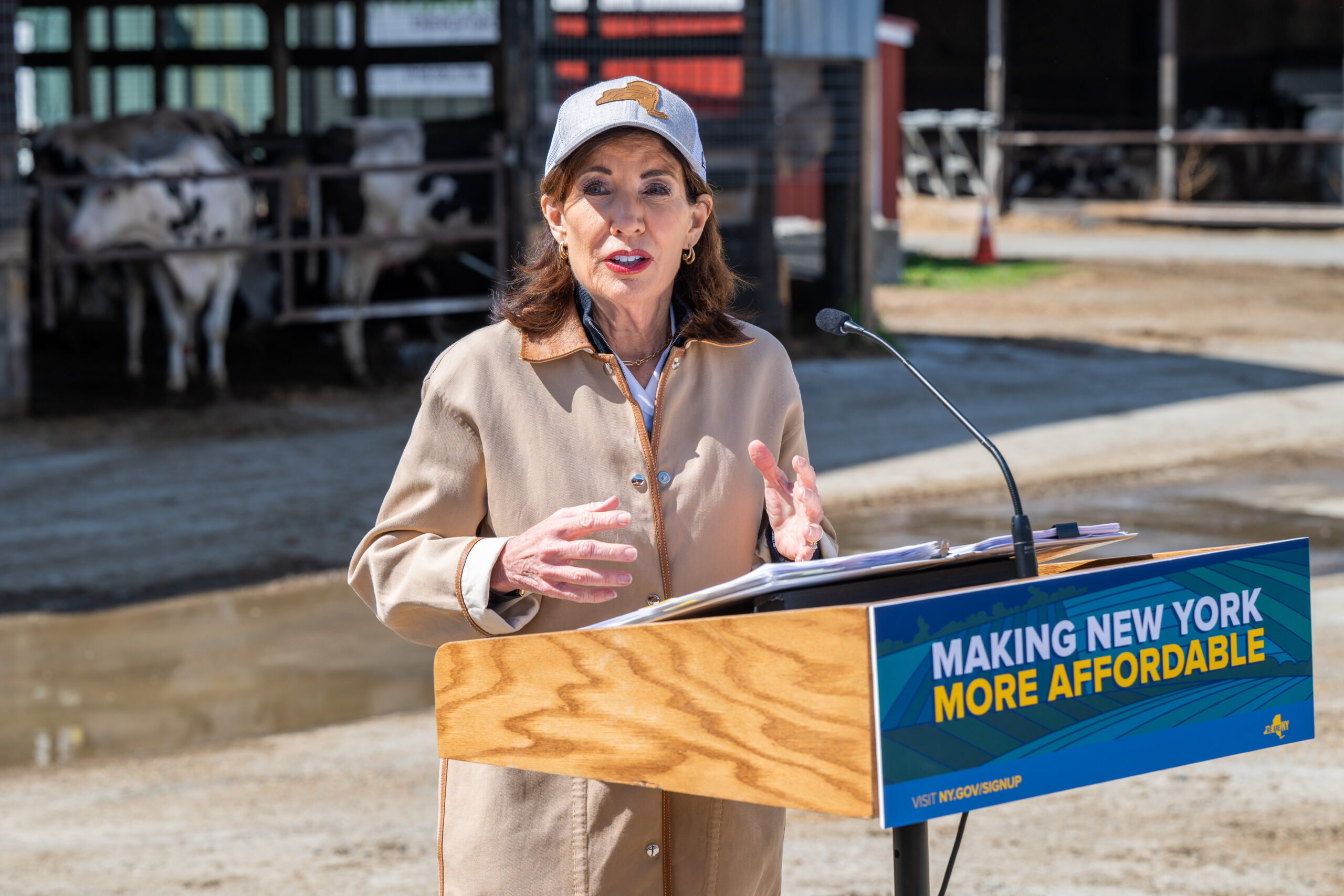 Gov. Kathy Hochul joined New York Mayor Zohran Mamdani in announcing free fan events hosted across the five boroughs.