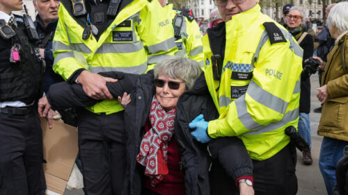 More than 500 people arrested at Palestine Action rally in London