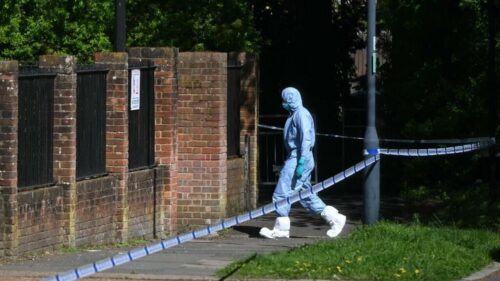UK police make eight further arrests after arson attacks on Jewish sites