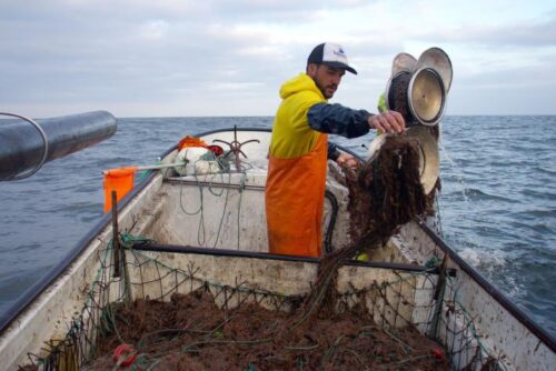 The young skipper from Culatra defending his island’s fishing identity