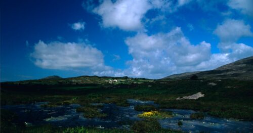 EU sues Ireland over failure to protect carbon-rich bogs