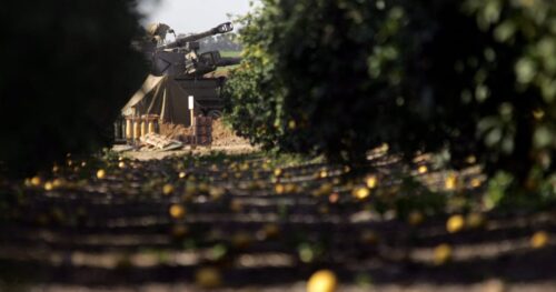 Food from occupied territories enters Europe disguised as Israeli, investigation finds