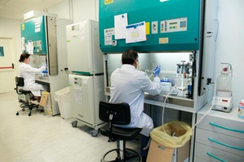 New plan to phase out animal testing for chemical safety assessments