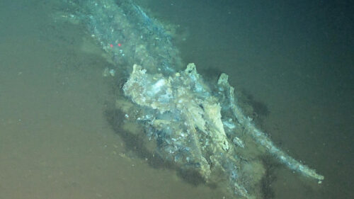 World’s largest whale graveyard discovered by Chinese sub