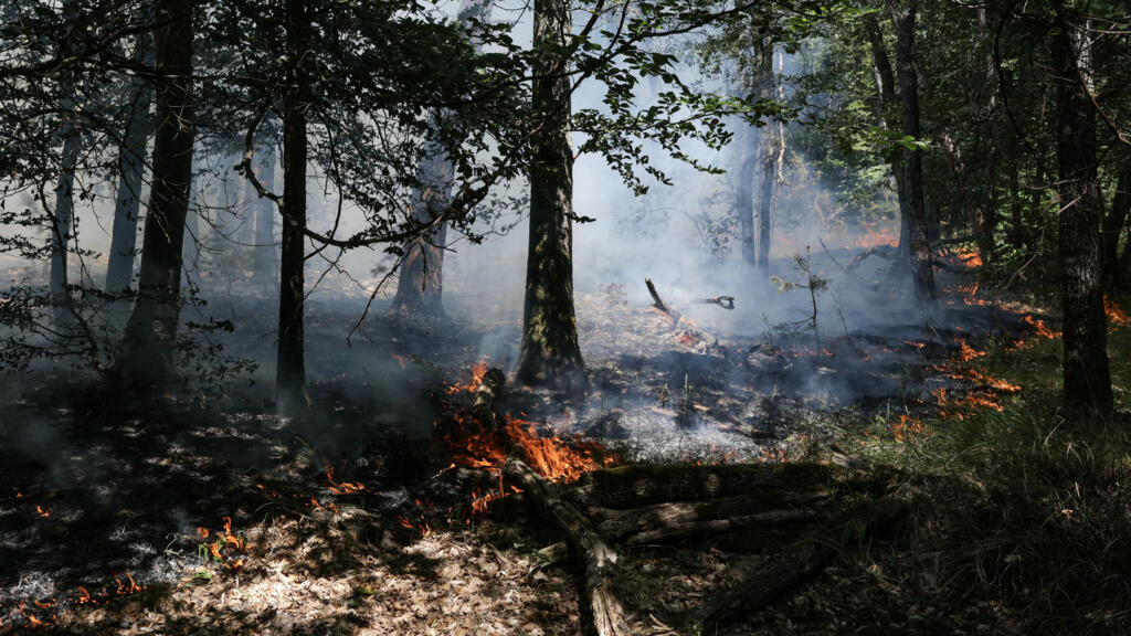 Des flammes se propagent dans les sous-bois lors d'un incendie dans la forêt de Fontainebleau, à Achères-la-Forêt, en France, le 13 juillet 2026