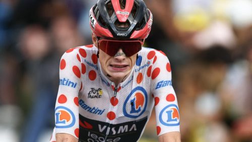Denmark’s Jonas Vingegaard withdraws from Tour de France after fall