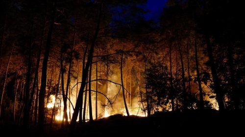 Blaze burns through ‘lungs of greater Paris’ Fontainebleau forest