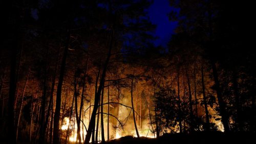 Fontainebleau forest near Paris hit by ‘very virulent’ wildfire
