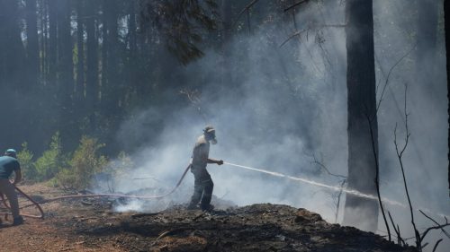 France, Spain eye respite from wildfires as other blazes break out in Europe