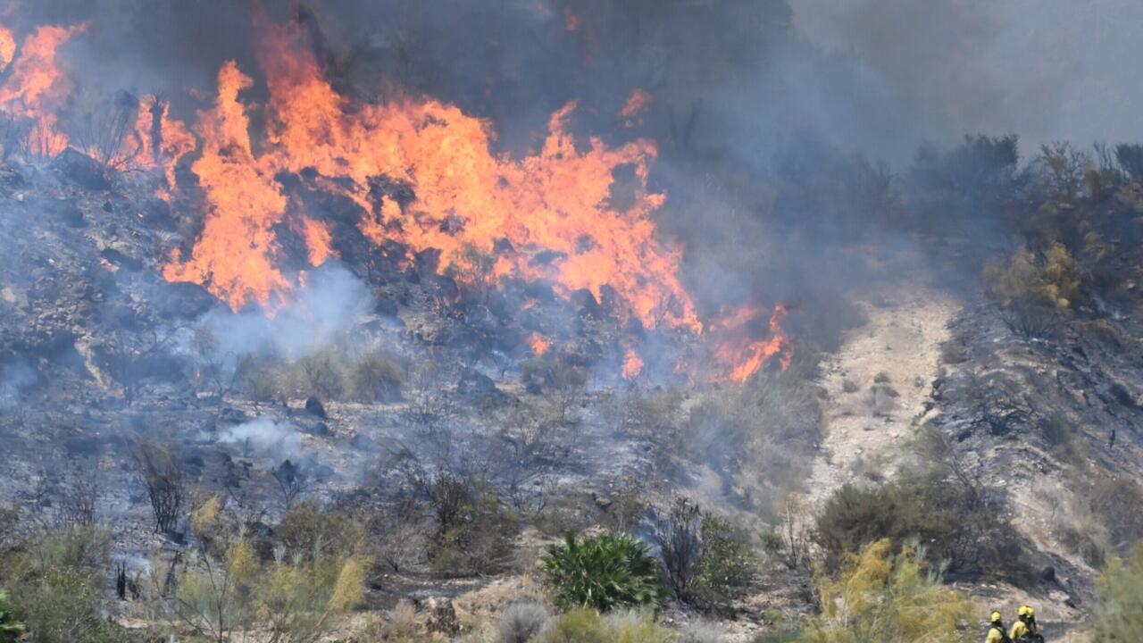 Twelve people died in the blaze, which spread rapidly across parched woodland and scrub