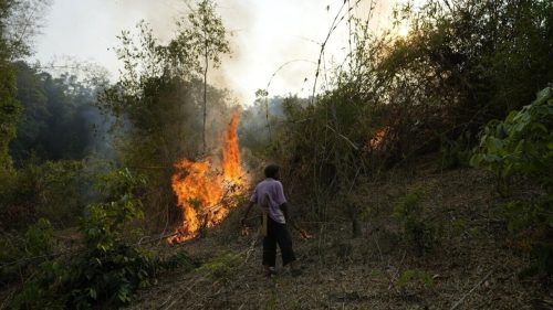 ‘Whenever biodiversity decays, you decay’: French biologist Marc-André Selosse