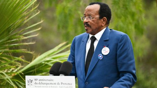 Cameroon president’s absence sparks debate over government inaction
