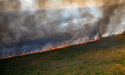 Copernicus: New ‘Fire Emissions Watch’ tool provides instant access to global fire emissions data