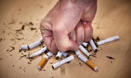 European operation dismantles €10 million illicit cigarette network in Spain