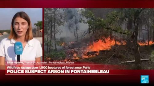 French police suspect arson in Fontainebleau forest near Paris