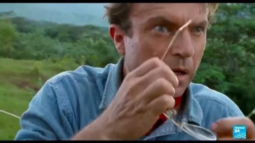 Jurassic Park, The Piano, The Tudors… New Zealand actor Sam Neill dies at 78