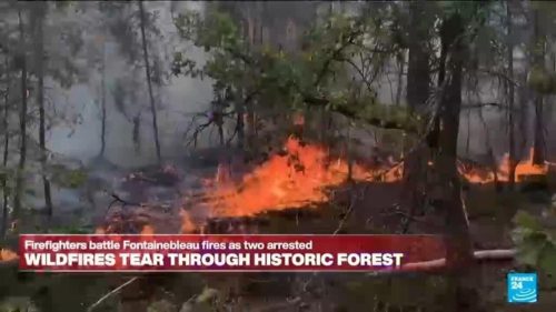 France: Wildfires tear though historic forest of Fontainebleau near Paris