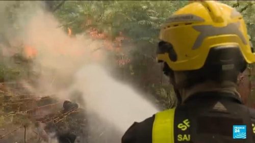 Firefighters battle ‘contained’ Fontainebleau forest fire near Paris amid arson probe