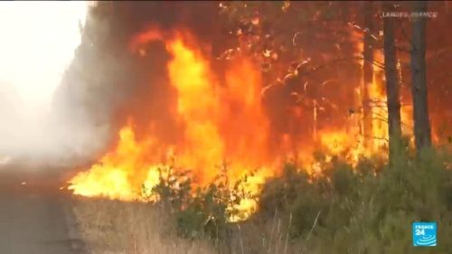 France: Why is the Southwest so vulnerable to wildfires?