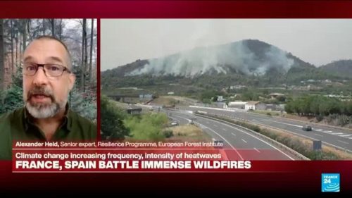 ‘Unprecedented but unsurprising’: Climate change & lack of prevention behind wildfires, extreme heat
