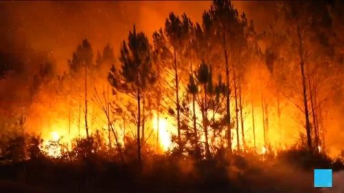 France’s unprecedented wildfires: Convergence of climate change and historical landscape engineering