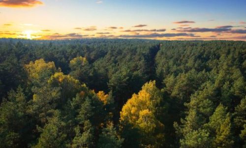 Natura 2000 Network offers opportunities for sustainable tourism across Europe
