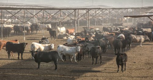 Trump administration rejects UN farm declaration over gender references