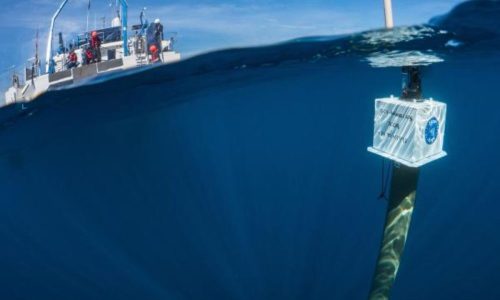EU ocean observation survey: Share your insights by 15 September