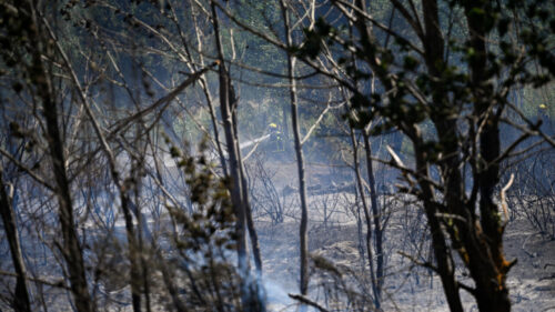 Tour de France stage under threat due to forest fires: official
