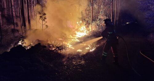 Wildfires: EU sends emergency support to Portugal and France