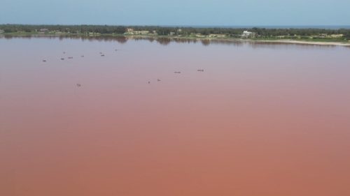 Crucial salt trade revives as Pink Lake slowly recovers from floods