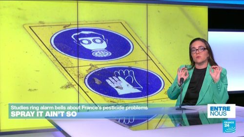 French environment minister announces plan to resign over approved pesticide bill