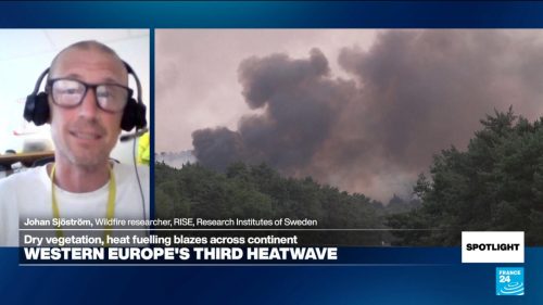 Following years of wildfires, Europe must ‘diversify’ landscapes and strengthen land management