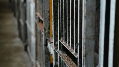 The EU’s Forced-Labour Regulation Faces a Credibility Test