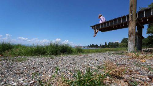 Germany records 14,000 heat-related deaths this summer as heatwaves scorch Europe