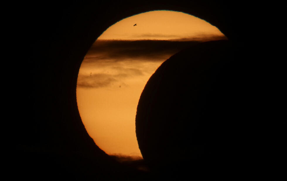 A bird flies during a partial solar eclipse in St. Petersburg, Russia, on August 12, 2026.
