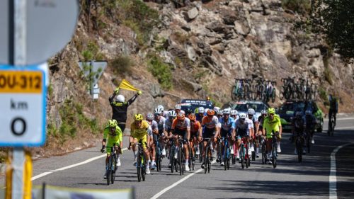 Teenage British cyclist Finlay ⁠Tarling dies in Tour of Portugal accident