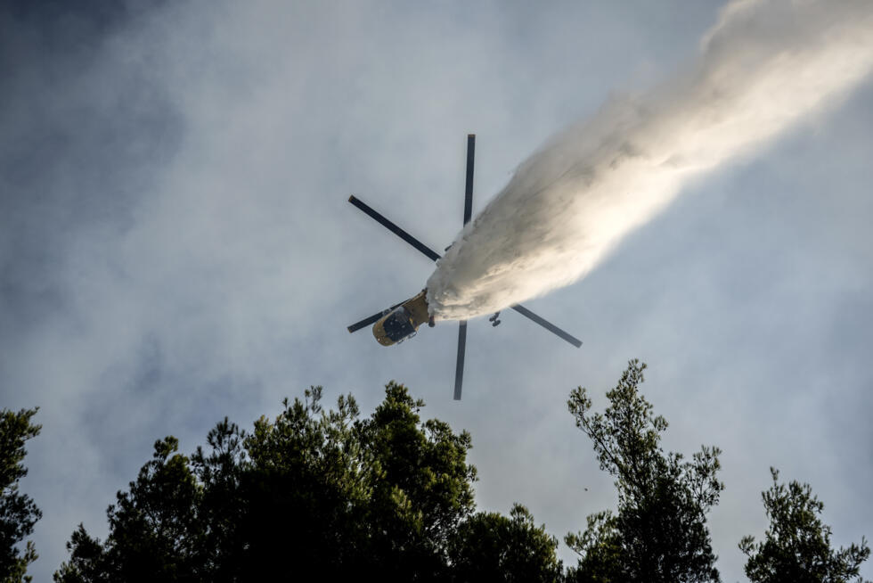 Researchers estimate that some 16,000 hectares of land have been destroyed across the country.