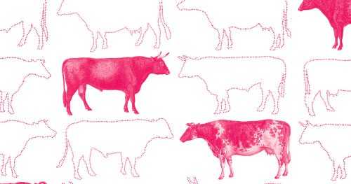 How Greek farmers milked EU funds from imaginary cows