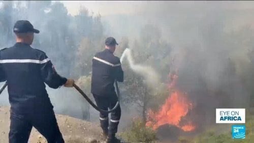 Wildfires kill 12 in Algeria as severe heatwave sweeps North Africa
