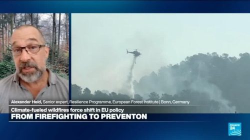 Wildfire prevention requires ‘nature-based solutions’: Land ‘treating us’ the way we treat the land