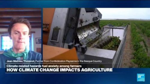 French farmers ‘heavily impacted’ by climate crisis, both psychologically and economically.