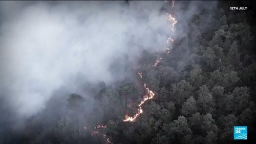 France’s Fontainebleau forest reopens one month after wilfire