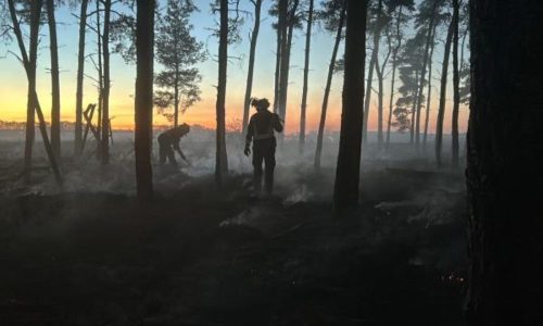 EU mobilises support as wildfires spread across Europe