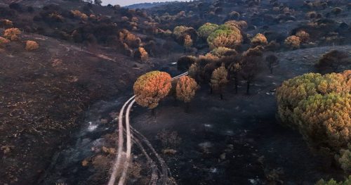 The economic toll of Europe’s infernal summer